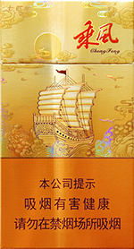 七匹狼(乘风启航)